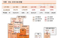 13일 인도 코로나 확진자 현황 (종합)