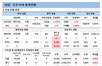 13일 코로나19 발생현황 (종합)