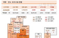 15일 인도 코로나 확진자 현황 (종합)
