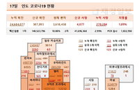 17일 인도 코로나 확진자 현황 (종합)