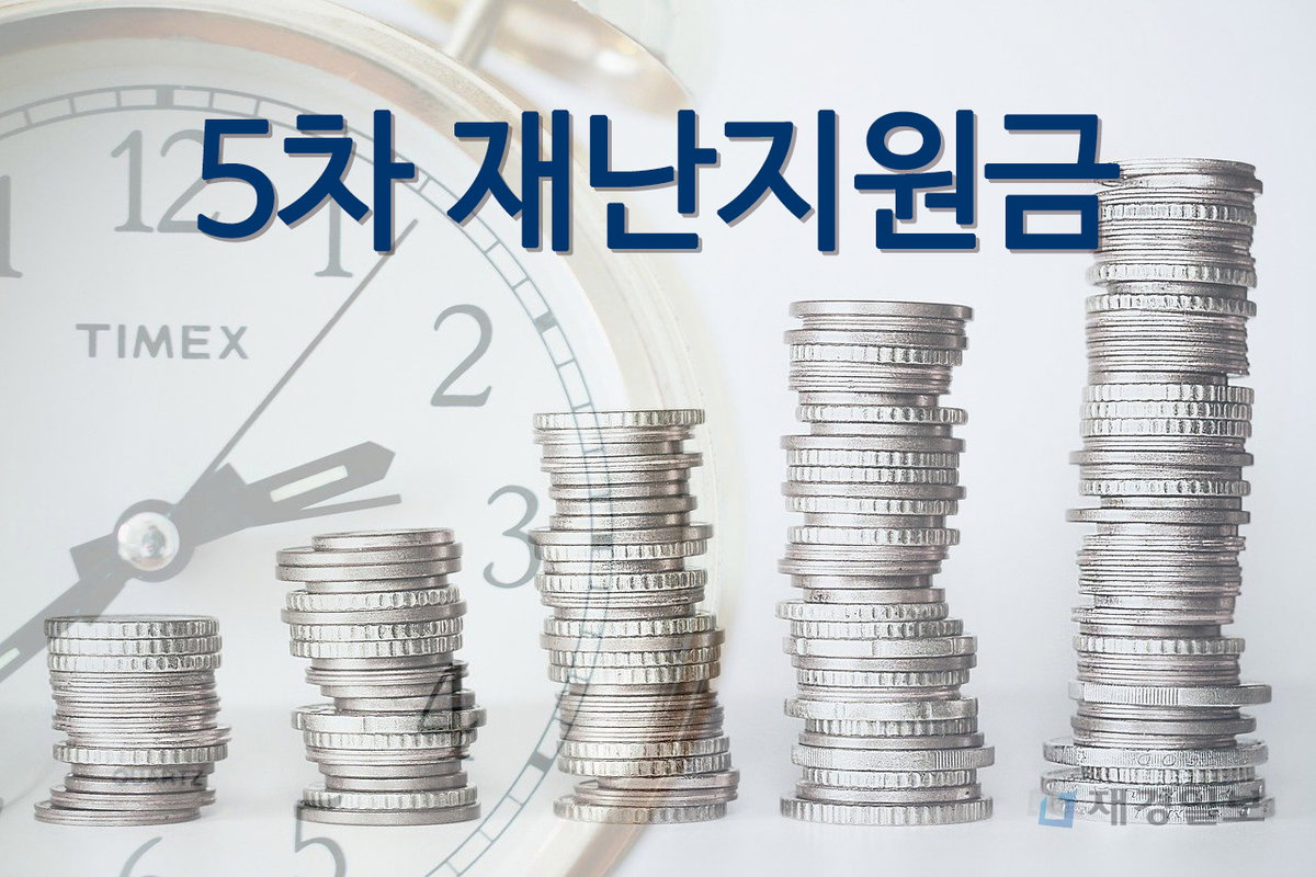 5차 재난지원금