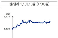 [오늘의 환율] 원달러 환율, 7원 상승 마감