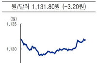 [오늘의 환율] 원달러 환율 3.2원 내린 1131.8원