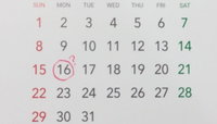 대체공휴일 "8월16일 쉬나요?"