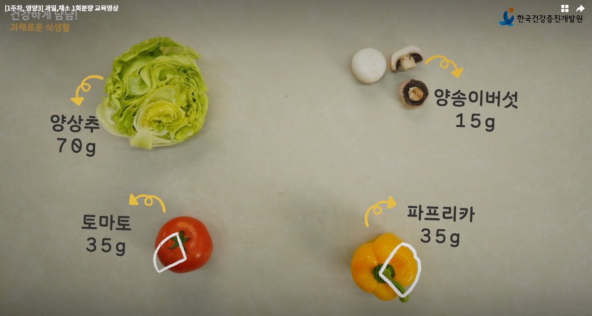 과채류 권장섭취량