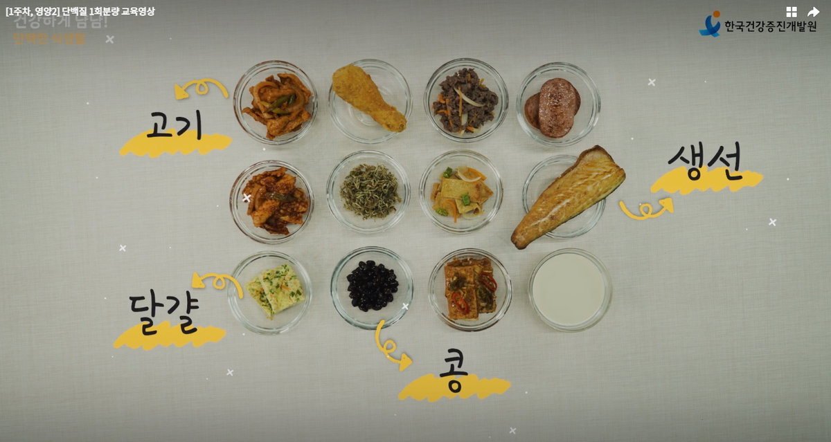 한끼 단백질 섭취량