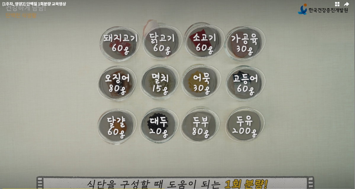 한끼 단백질 섭취량