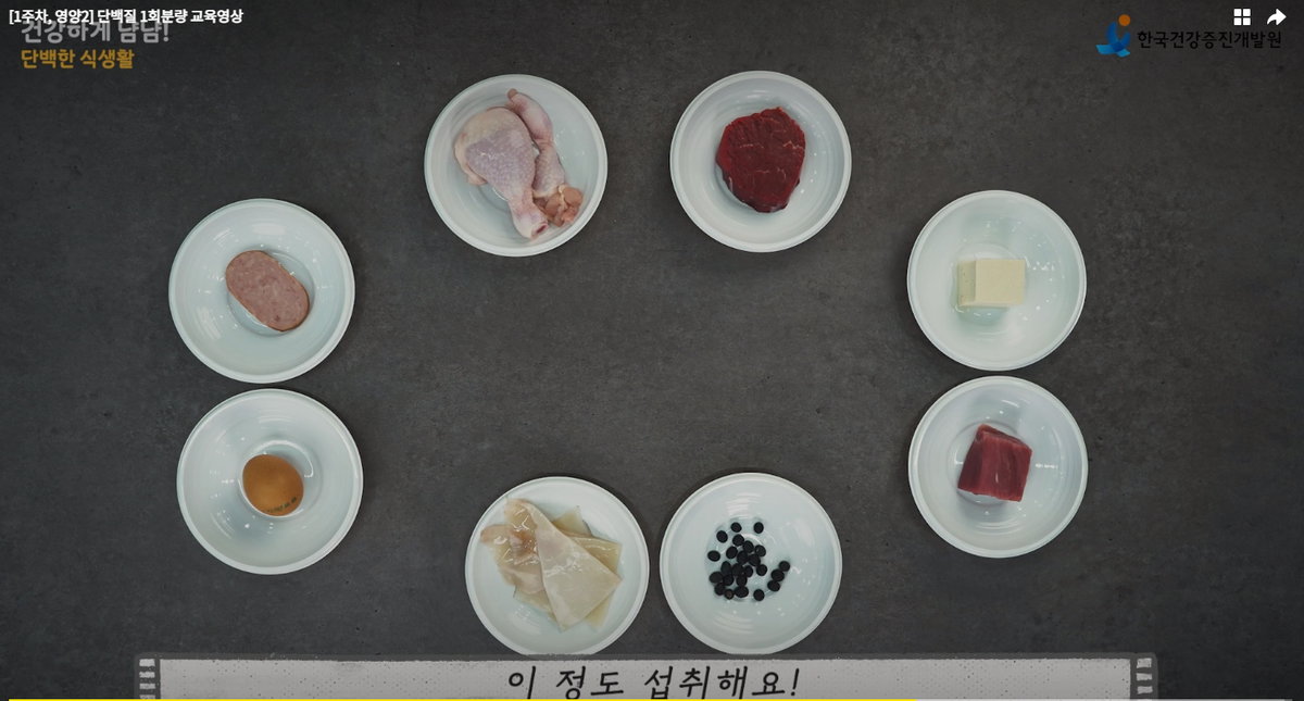 한끼 단백질 섭취량