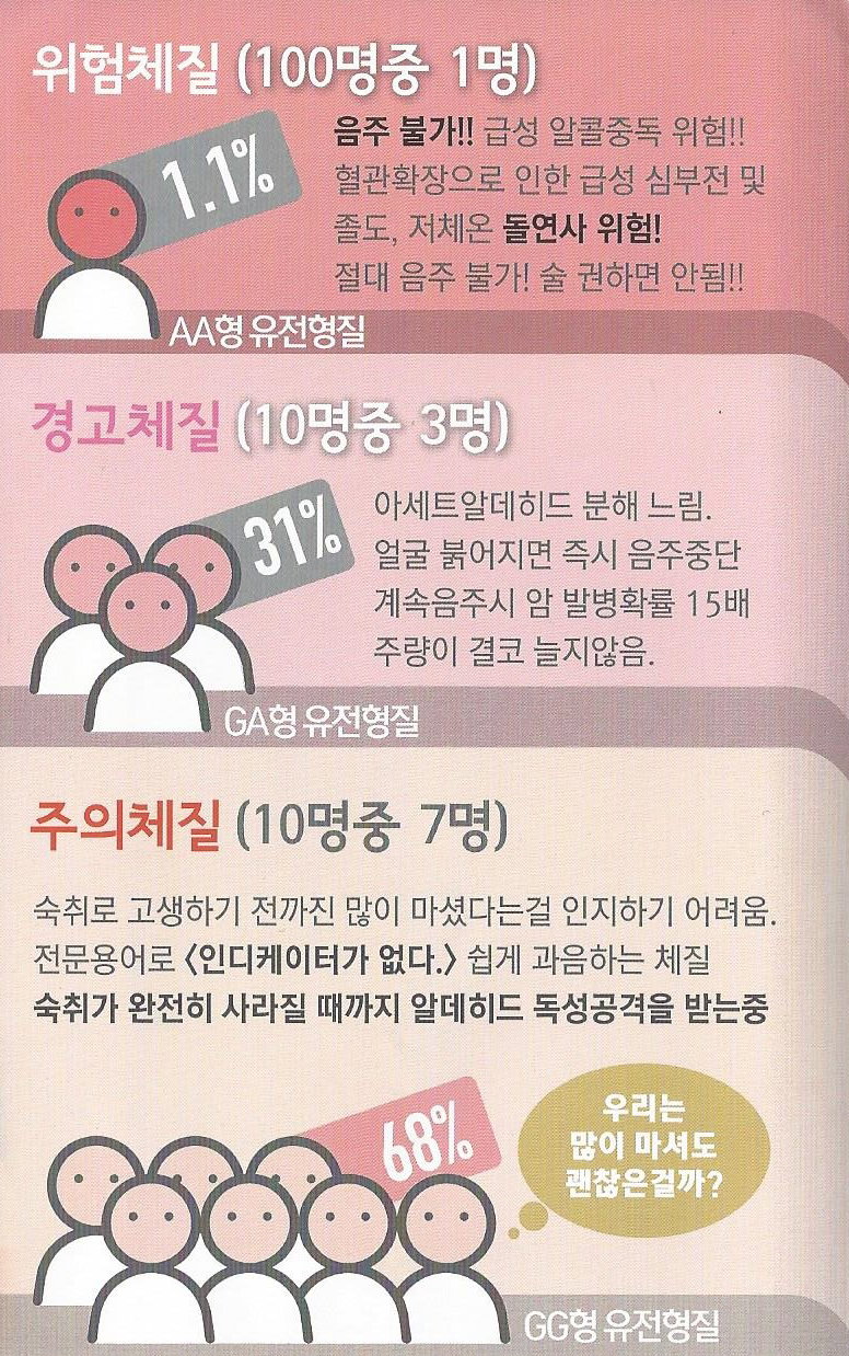 음주 위험체질