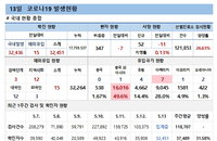 13일 코로나19 확진자 현황 (종합)