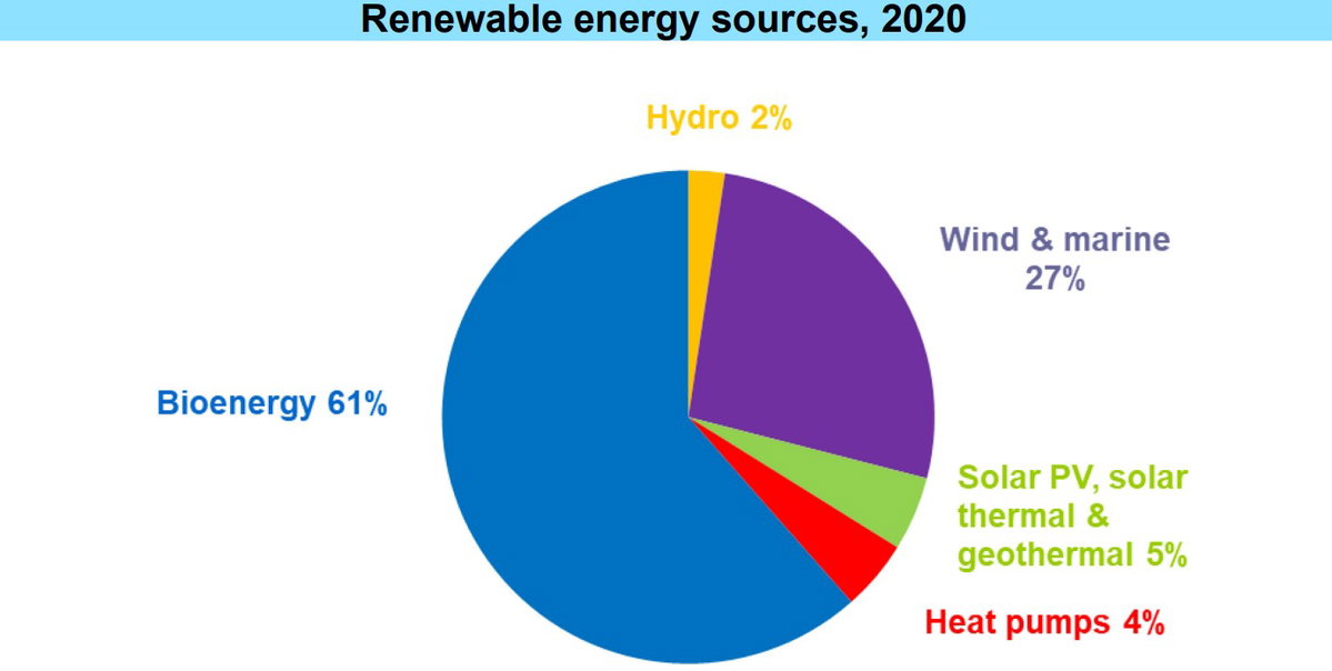 2020년 재생 에너지원  /총 재생에너지 사용 = 24,355천 톤 석유 환산(ktoe) [자료=UK Energy in Brief 2021]