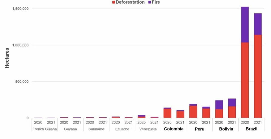 2020-2021년 국가별 아마존 원시림 손실 [자료=AMAZON CONSERVATION]