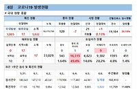 6일 코로나19 확진자 현황 (종합)