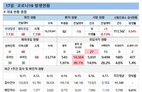 17일 코로나19 확진자 현황 (종합)