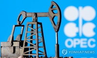 OPEC "내년 세계 석유 공급량, 하루 100만배럴 부족"
