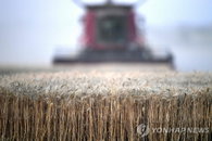 전쟁에 폭염까지…유럽 곡물 수확량 감소로 식량난 '가중'