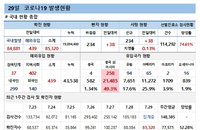 29일 코로나19 확진자 현황 (종합)
