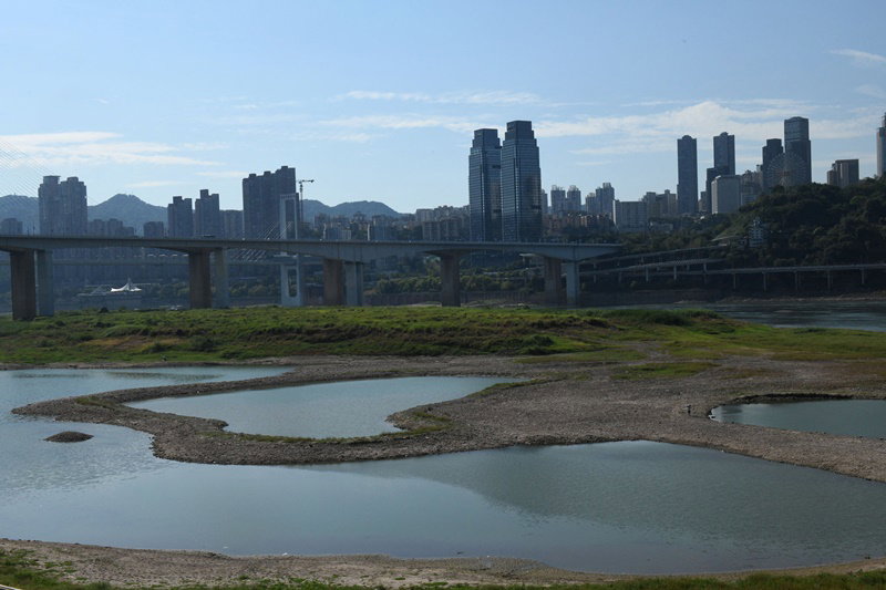 바닥 보인 양쯔강