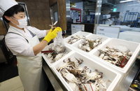 "배추∙꽃게 40% 저렴하게" 대형마트 농수산물 할인 판매