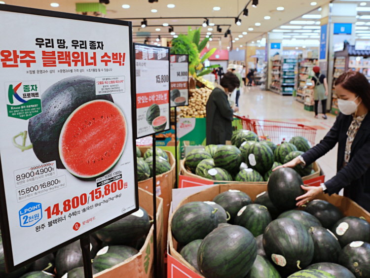 수박 국산품종