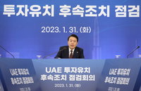 UAE 300억불 투자협력 플랫폼 가동…'셔틀 경제협력단' 파견