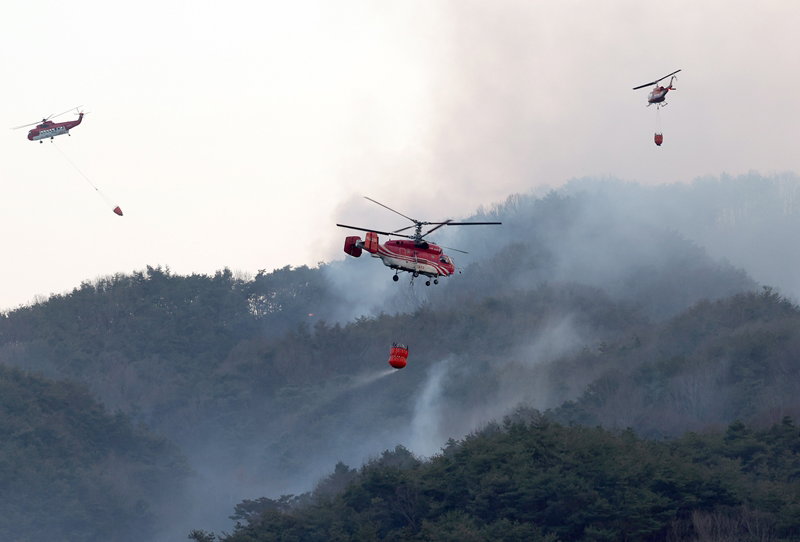 산불 진화