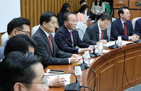 與, 전세사기 피해주택 공공매입·우선매수 검토
