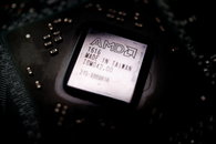 엔비디아·AMD·마이크론, 칩 부문 상승세 주도