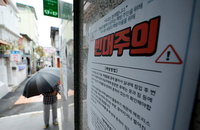 전국 지자체 빈대 잡기 비상…숙박·공공시설 중심 출현
