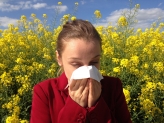 꽃가루 알레르기 콧물 비염