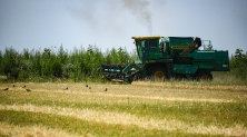 러시아 남부에서 곡물 수확