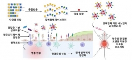 KAIST의 나노 분자 탄수화물 치료제의 연구결과 모식도