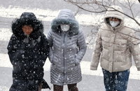 중대본 2단계 격상, 한파 피해 상황은