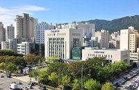 부산 순번제 식사대접, 무슨 일