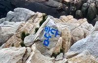 울산 대왕암공원 낙서범 검거, 내용·이유는