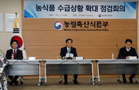 농식품부 차관 "사과·배 가격 높아…166억원 투입 할인 지원"