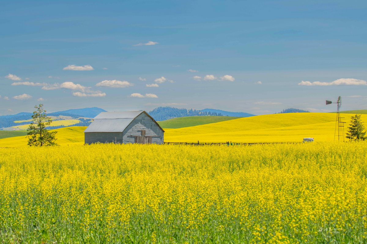 [안식/Palouse, WA 2023]