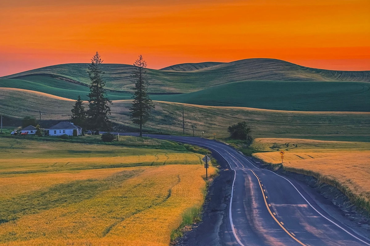 [집으로 가는 길/Palouse, WA. 156cm X 104cm 2023]