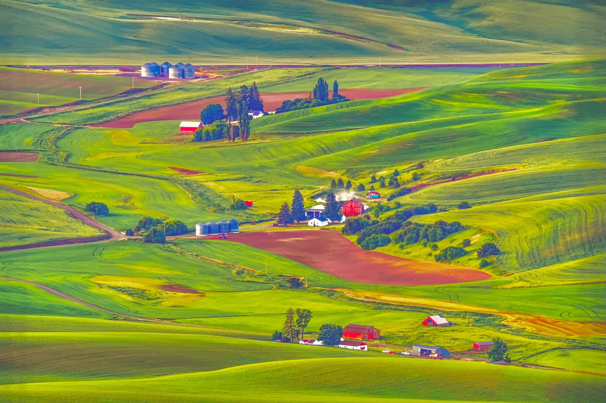 [동화속 마을/Palouse, WA.156cm X 104cm 2023]