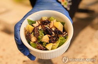 미국 매미 김치 현지서 주목
