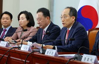 추경호 "거부권 제한은 헌법 부정…원포인트 개헌 수용불가"