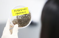 파주시 말라리아 경보 발령, 이유는