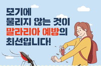 전국 말라리아 경보…매개모기서 원충 확인