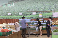 추석 20대 성수품, 할인지원·공급 확대에 하락세