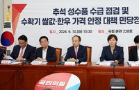밥쌀 재배면적 2만㏊ 즉시 격리…암소 1만마리 추가 감축