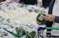 배추·무·상추·시금치 값 고공행진…배도 생산 차질