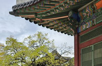 한국인 최초 퓰리처상 2회 수상 ‘강형원 기자의 문화유산 찾기' 칼럼사진전