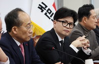 한동훈 "尹대통령 조속한 직무집행 정지 필요"