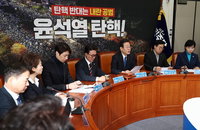 野, 두 번째 尹탄핵안 발의…국회, 비상계엄 긴급 현안질문