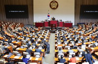 우의장, 韓대행 탄핵안 가결 정족수에 "재적의원 과반수 찬성"